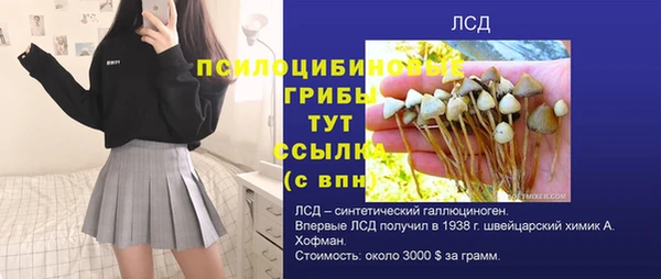 гашиш Аркадак